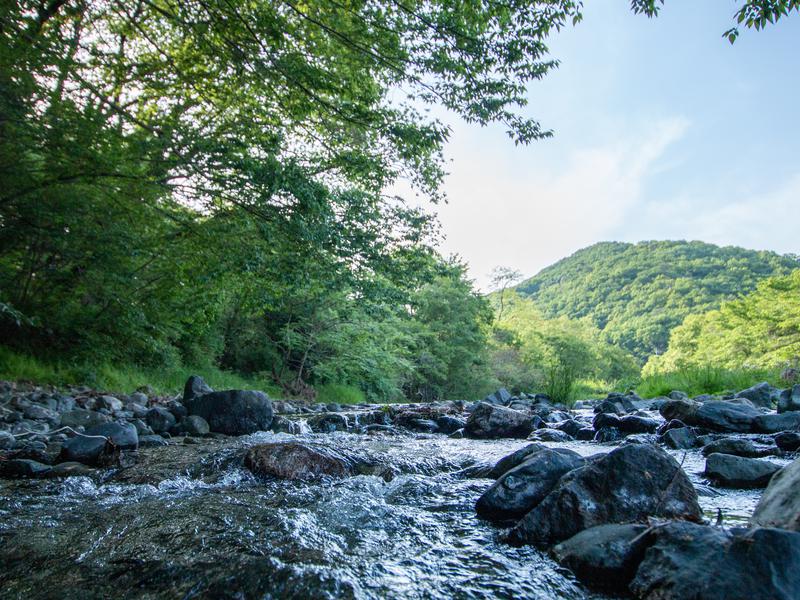 COMORIVER(ときがわ町)|川に飛び込める天然水風呂