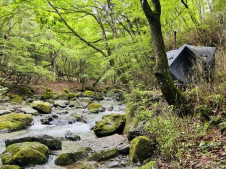 源流の宿 道志(道志村)|共用水風呂5℃