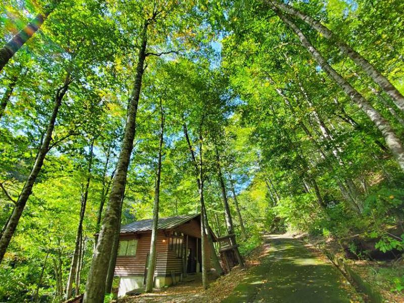 八東ふる里の森(八頭町)|共用水風呂10℃