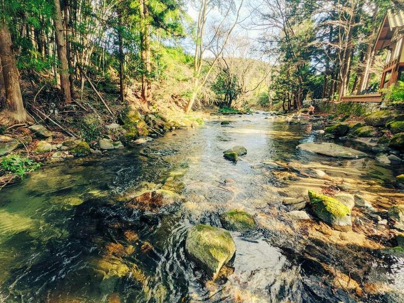 コアミガメ(高萩市)|共用水風呂8℃
