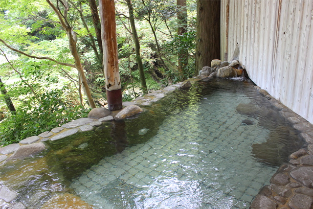 リブマックスリゾート讃岐塩江温泉(さぬき温泉)(高松市)|男湯水風呂10℃