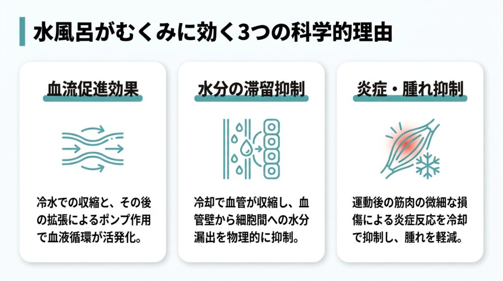 水風呂がむくみに効く3つの科学的理由