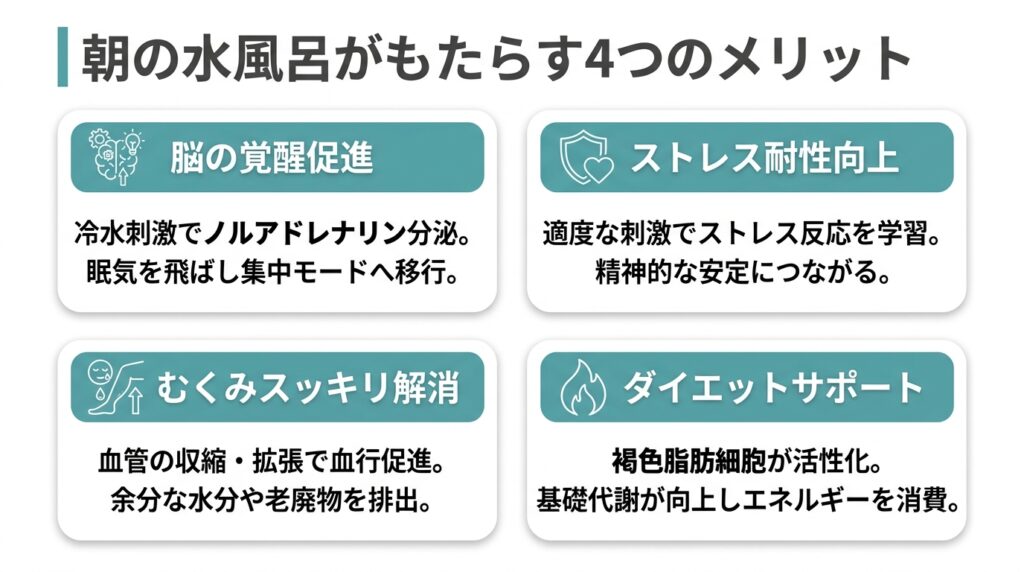 朝の水風呂がもたらす4つのメリット